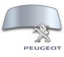 Peugeot 5008 09-