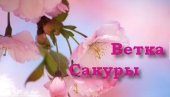 Ветка Сакуры